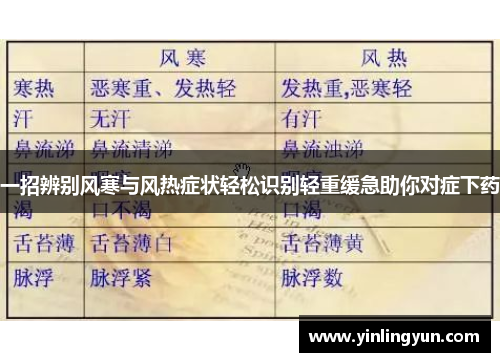 一招辨别风寒与风热症状轻松识别轻重缓急助你对症下药