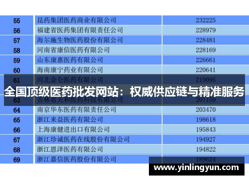全国顶级医药批发网站：权威供应链与精准服务