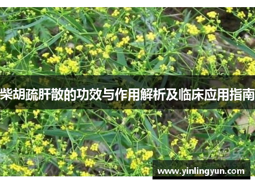 柴胡疏肝散的功效与作用解析及临床应用指南