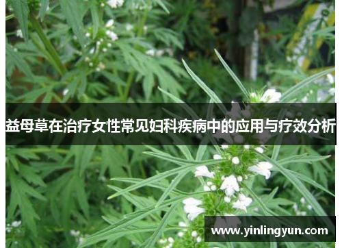 益母草在治疗女性常见妇科疾病中的应用与疗效分析