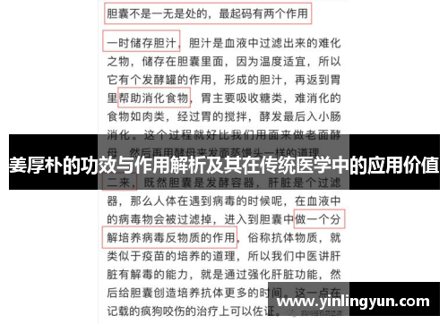 姜厚朴的功效与作用解析及其在传统医学中的应用价值